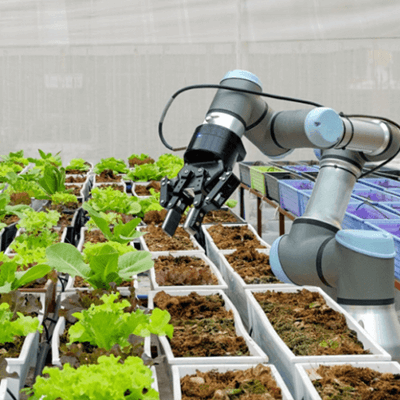 cajas en usos agrícolas