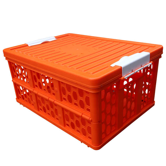 Organizador de coche